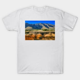 Guadalupe Mountains National Park2 T-Shirt